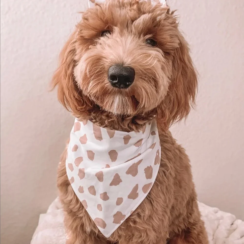NWT Blush & Fluff Strawberry Cow Print Dog Bandana, White and Pink, Size M